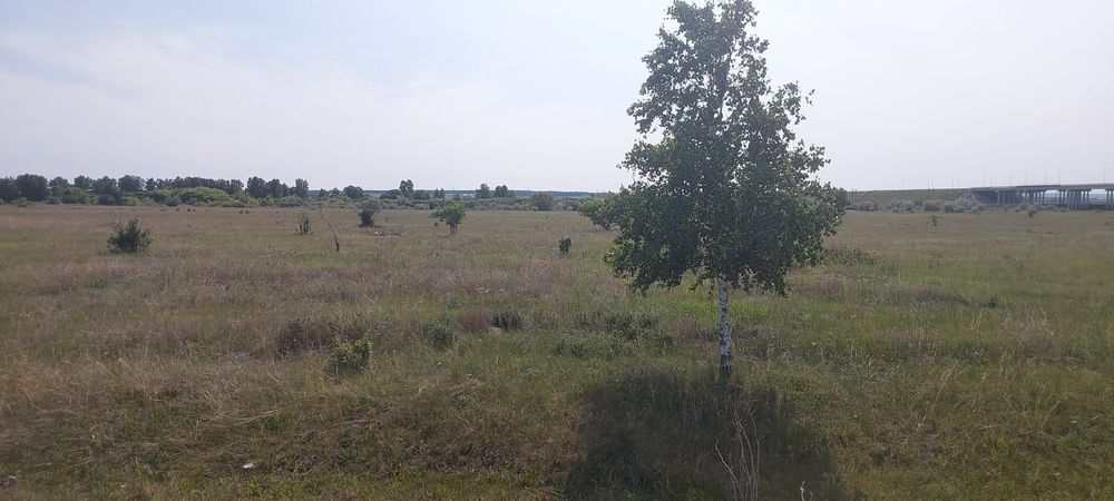 Продам земельный участок 1га