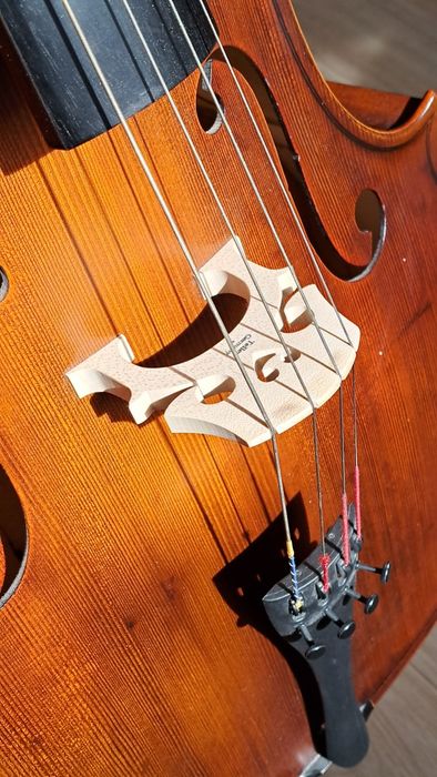 Violoncel 4/4 Reghin
