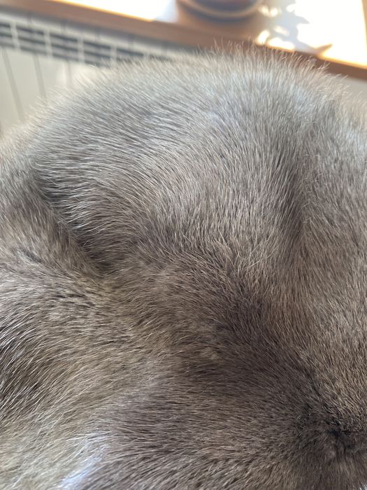 Продается норка