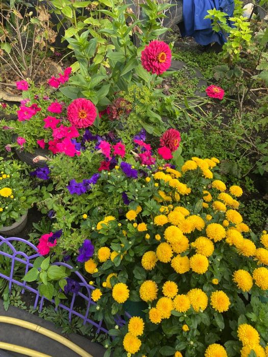 Дача в 1 обществе