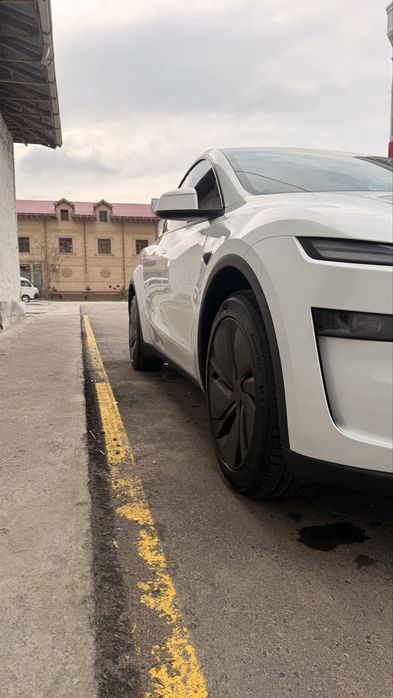 Tesla Model Y juniper