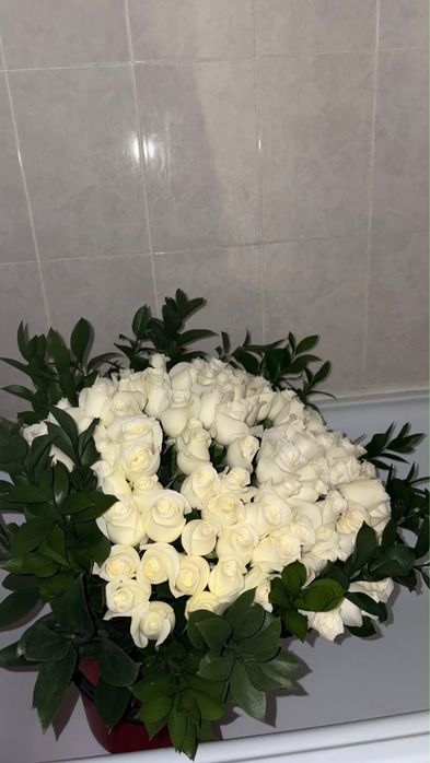 Цветы белые свежийй.,Огромные