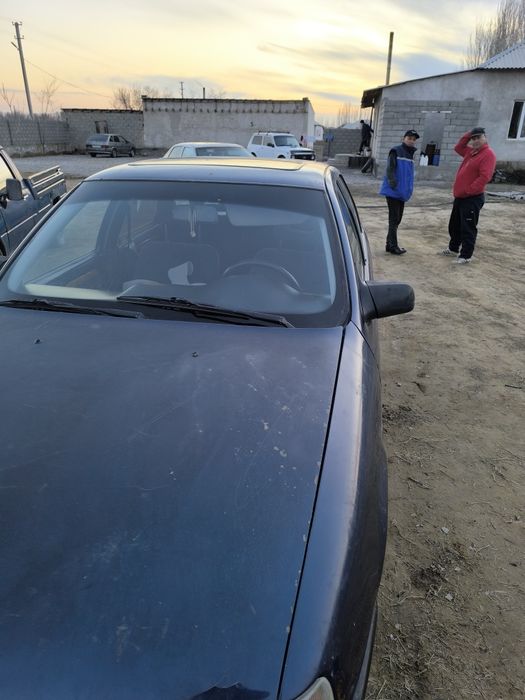 Орел вектра 2 куп