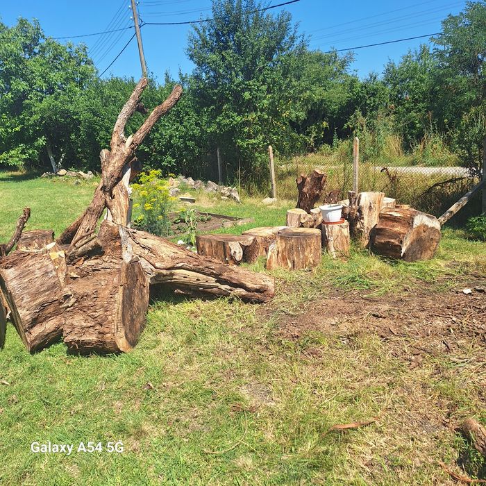 Пънчета за градина