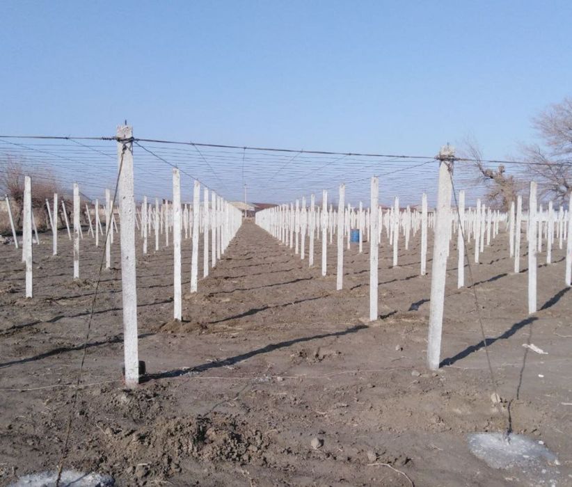 Beton stolbalar 2,5 metr