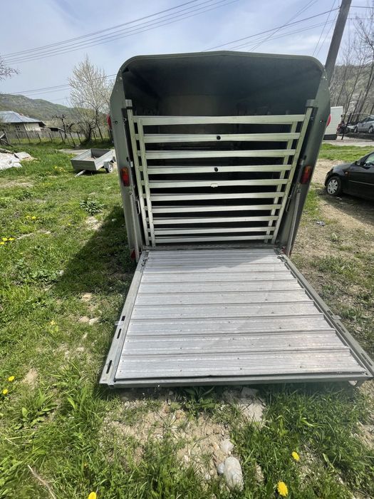 Transport animale vii autorizat