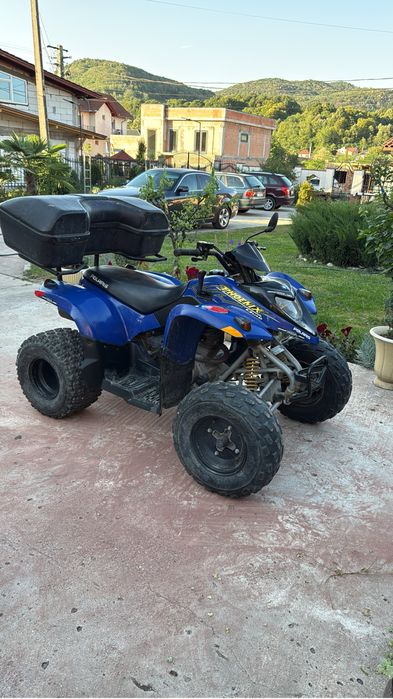 Polaris phoneix 200