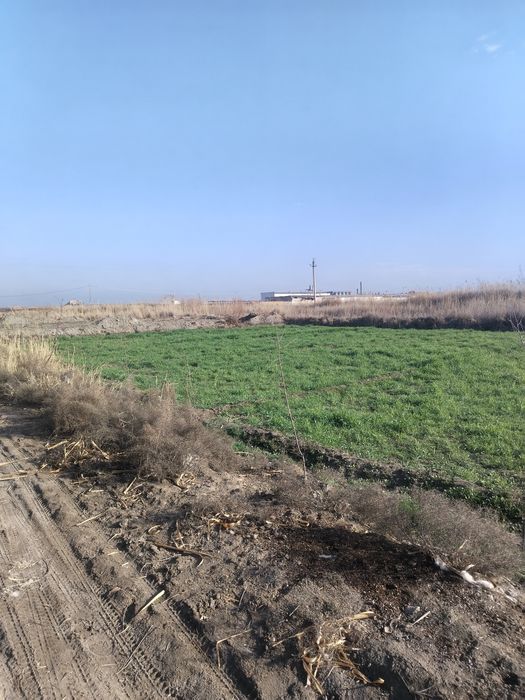 Срочно!!! Продаётся земленный участок!Маданият!