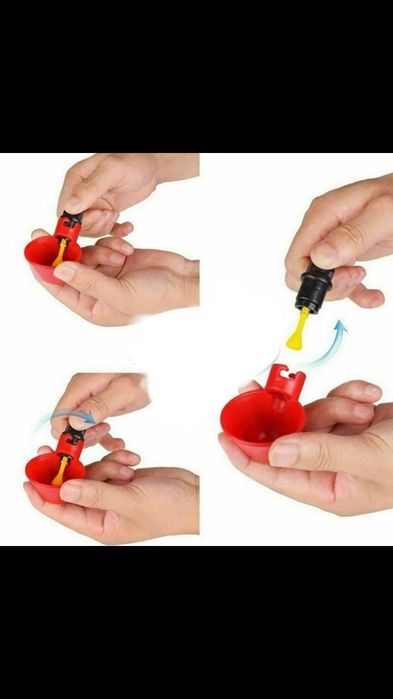 Kit adăpători pentru pasari