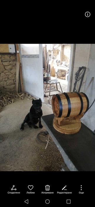 Бурета и каци Топ качество