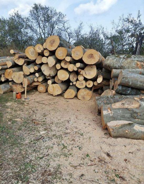 Vand lemne 200 m ster