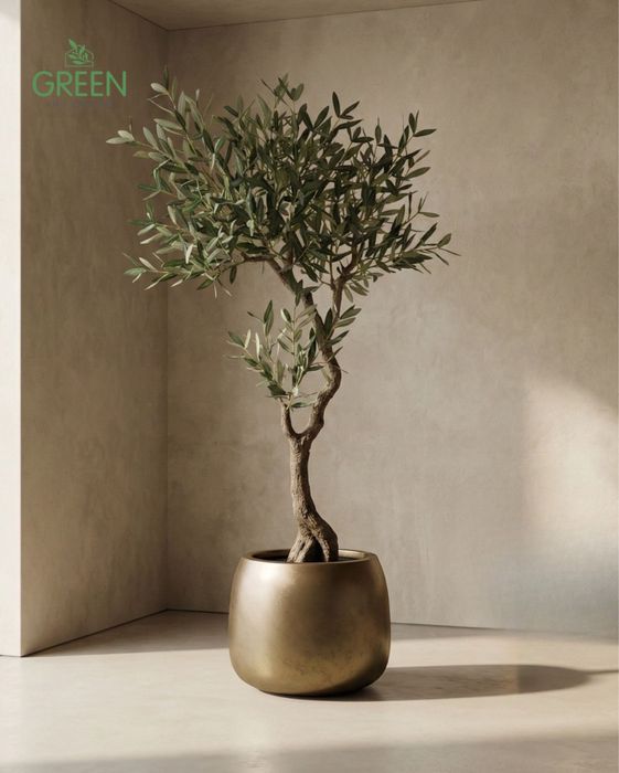 Олива искуственная