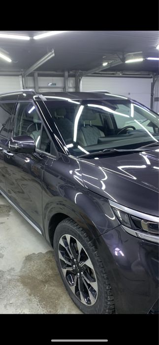 Костаправ моляр