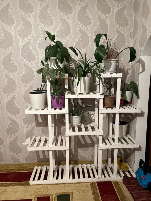 Гул коятын сатам