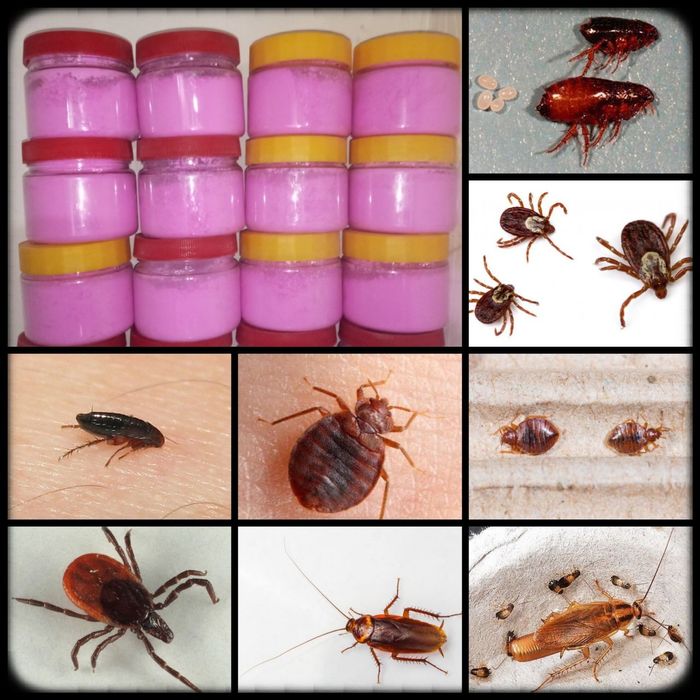 Имидоклоприд гаучо порошок 100гр