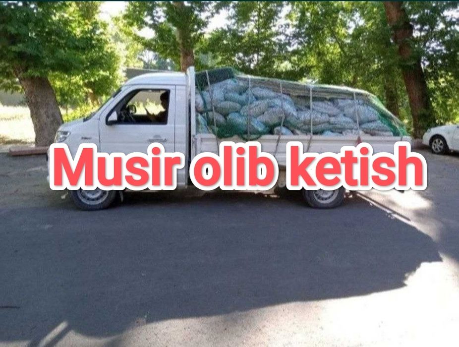 Musir olib ketish Вывоз мусир олиб кетиш