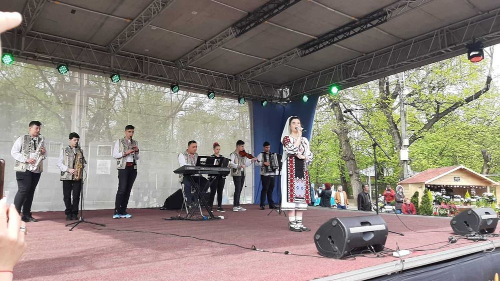 Cursuri canto si instrument, meditatii admitere muzica