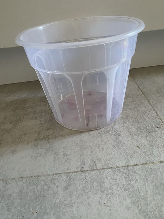 Прозрачные горшки дл орхидей