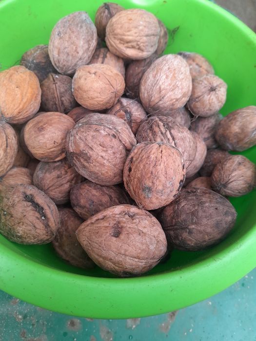 Nuci de.   vanzare