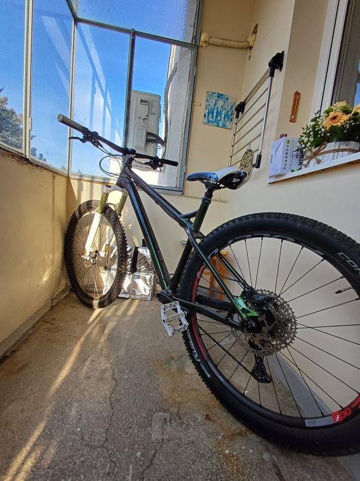 [Custom Build] Ragley Marley 2024 Chameleon, Mullet