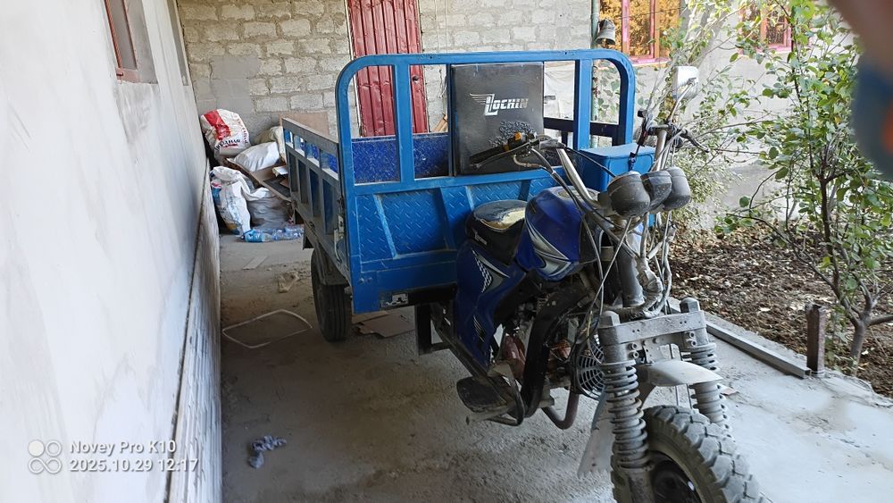 Лочин сотилади 2021