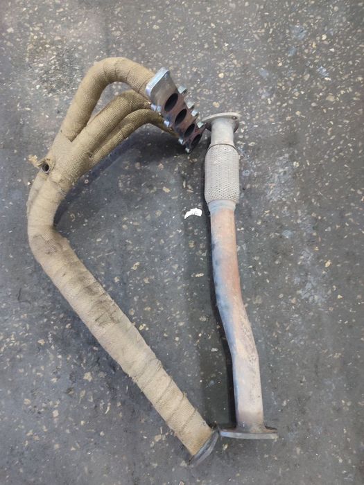 Pauk sotiladi holati ideal jentraga tushadi