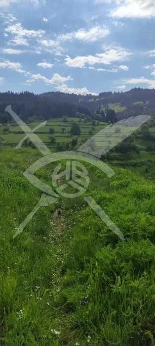 Продава се Парцел в с. Лилково, Област Пловдив - 467 кв.м за 63 €/кв.м - Снимка #2