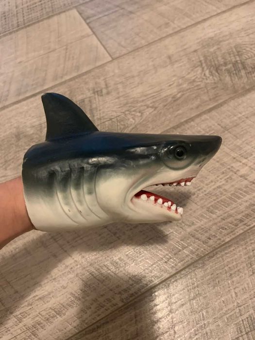 акула голова акулы