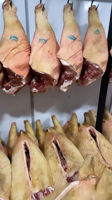 Продам мясо свинины