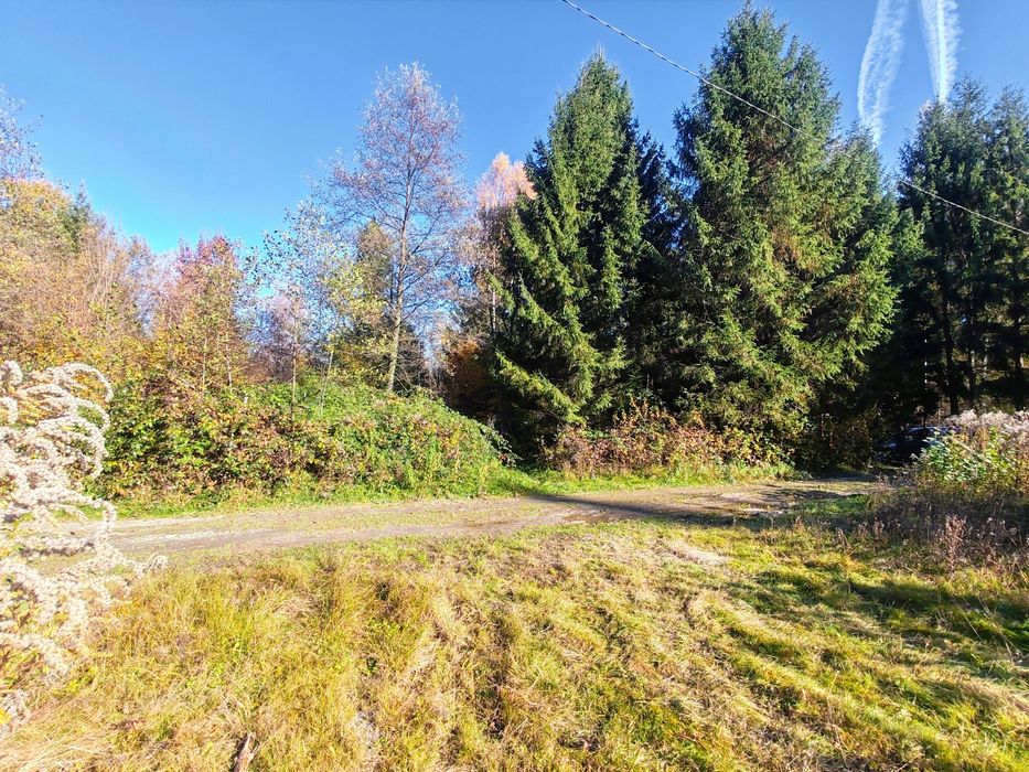 Teren Valea Avrigului