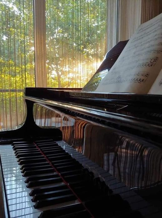 Lecții de pian pentru copii și adulți