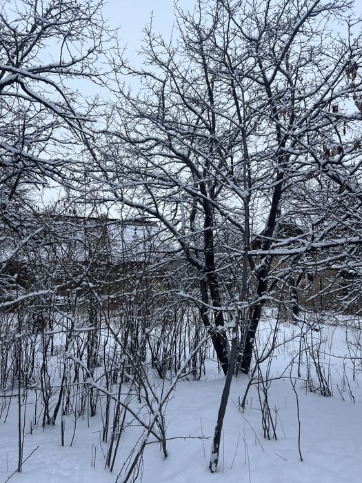 Продам дачу на уйтасе