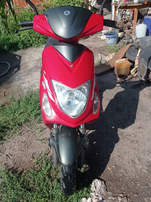 Продаю монстра "итальянец"