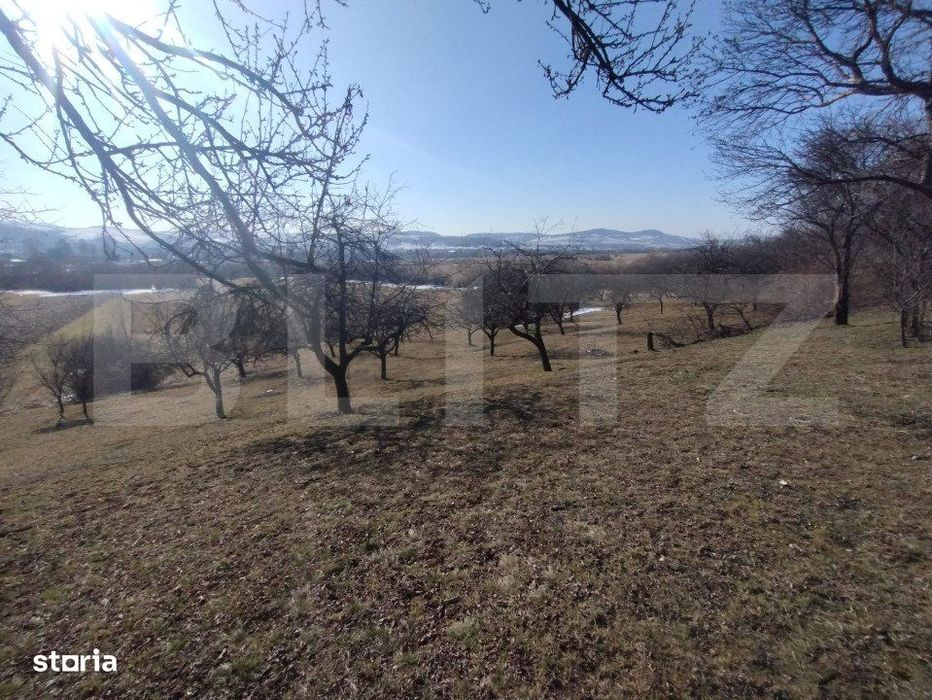 Teren extravilan de vanzare, 25 ari, zona Rusul Bargaului