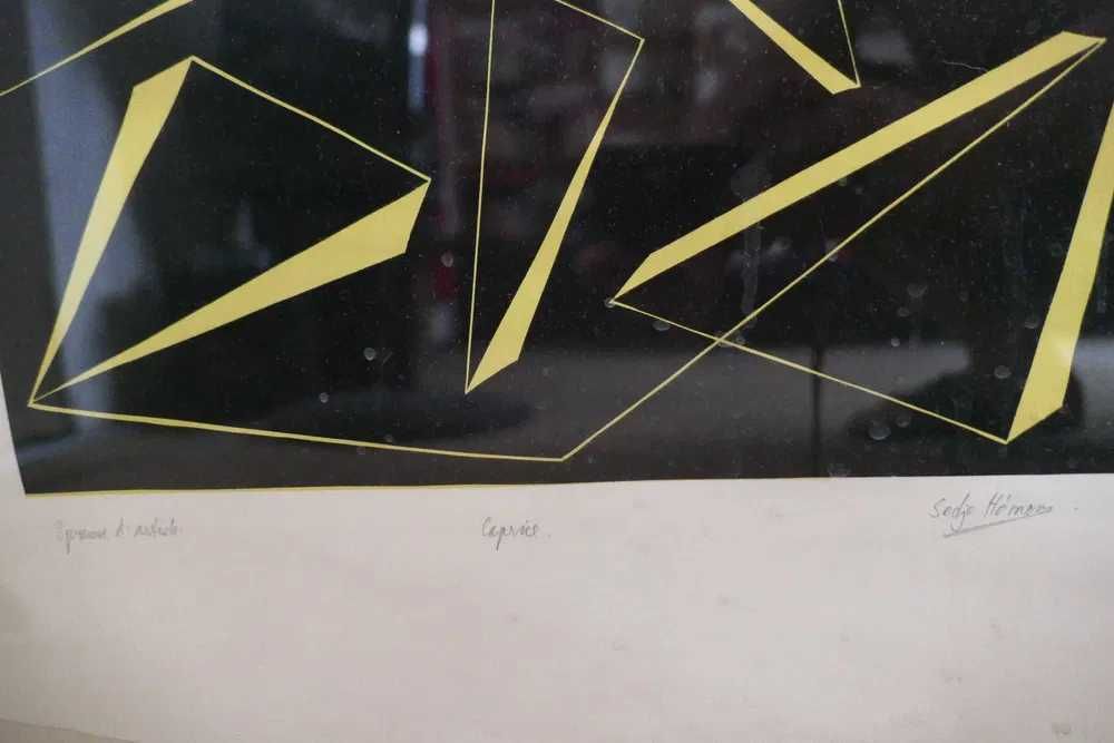 Sedje Hémon (1923-2011) Artista Pictorita Muzician Profesoara Olandeza