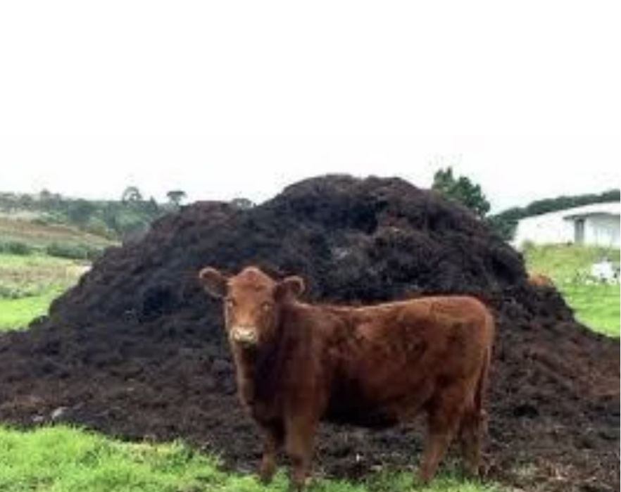 Перегной Навоз продается