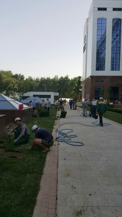 Продажа газонов и ландшафтный дизайн