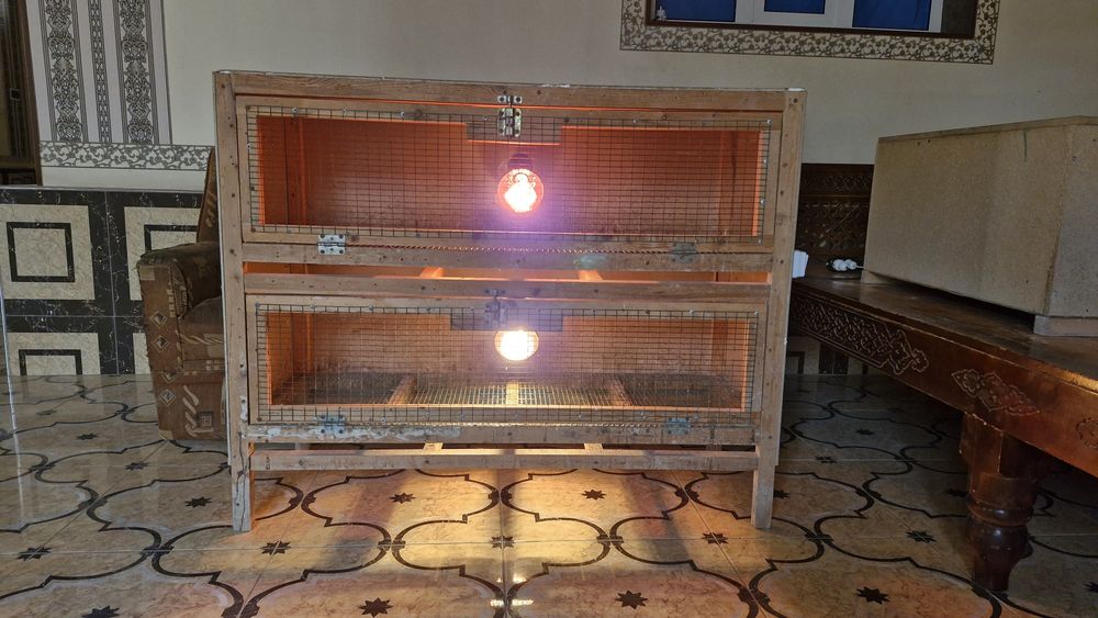 Инкубатор 100талик