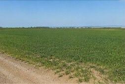 TEREN 15.000 MP LA 10 KM DE CRAIOVA-COMUNA MISCHII