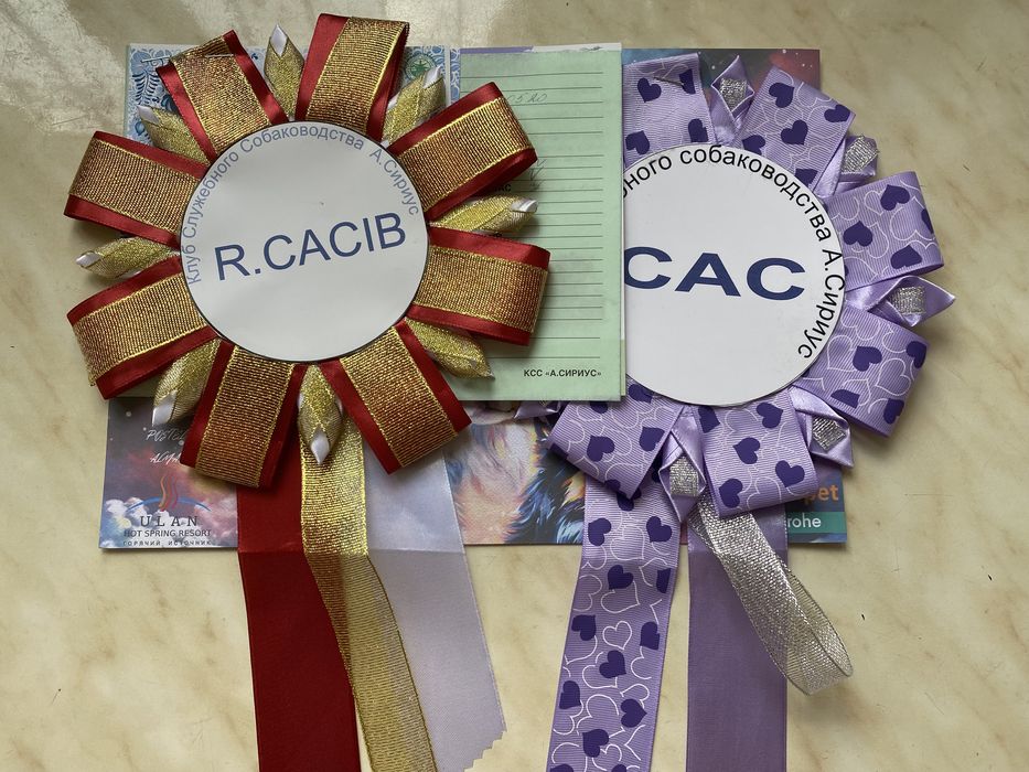 Вязка лабрадор палевый