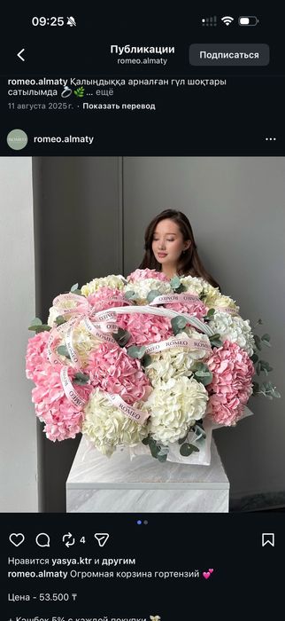 Цветы новые гортензии