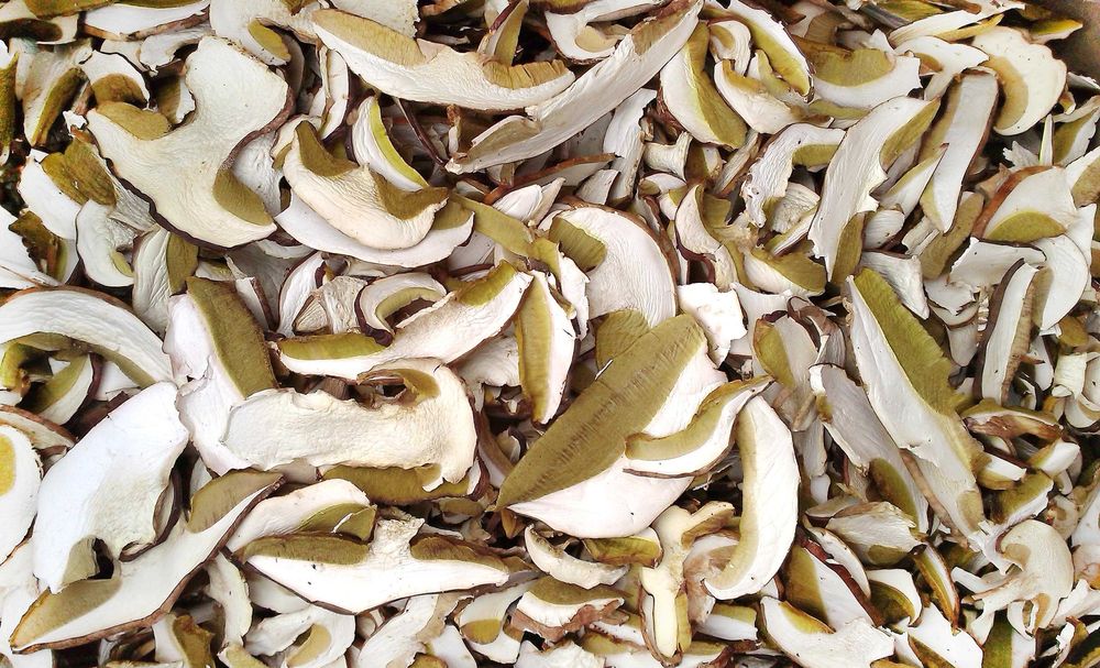 гъби буркани прясна замразена суха манатарка сърнела сладко консерва