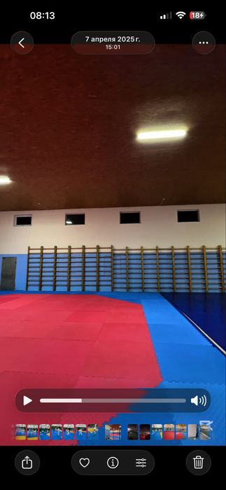 Шведская стенка гимнастическая