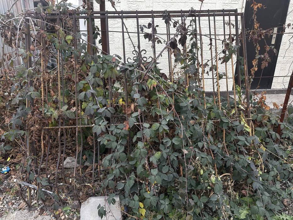 Решетки на окна б/у