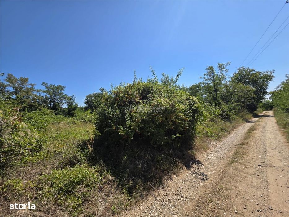 Teren intravilan, 509 mp, deschidere 30 m, com. Vernesti