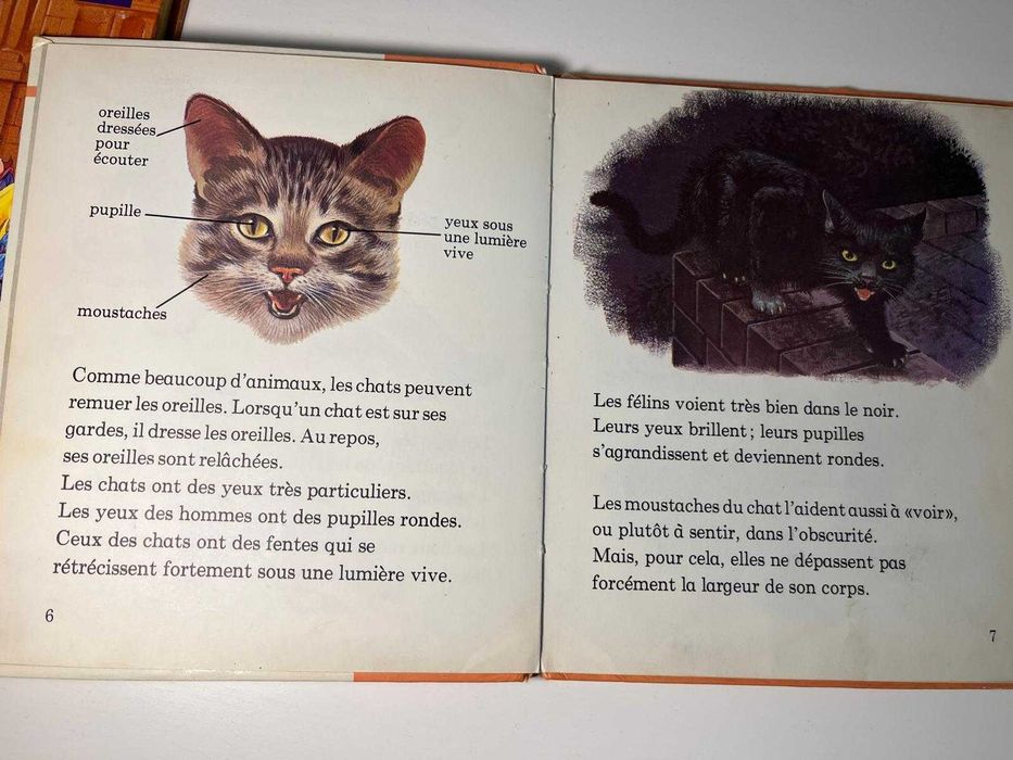 Pachet 6 carti in limba franceza pentru copii - 65 lei