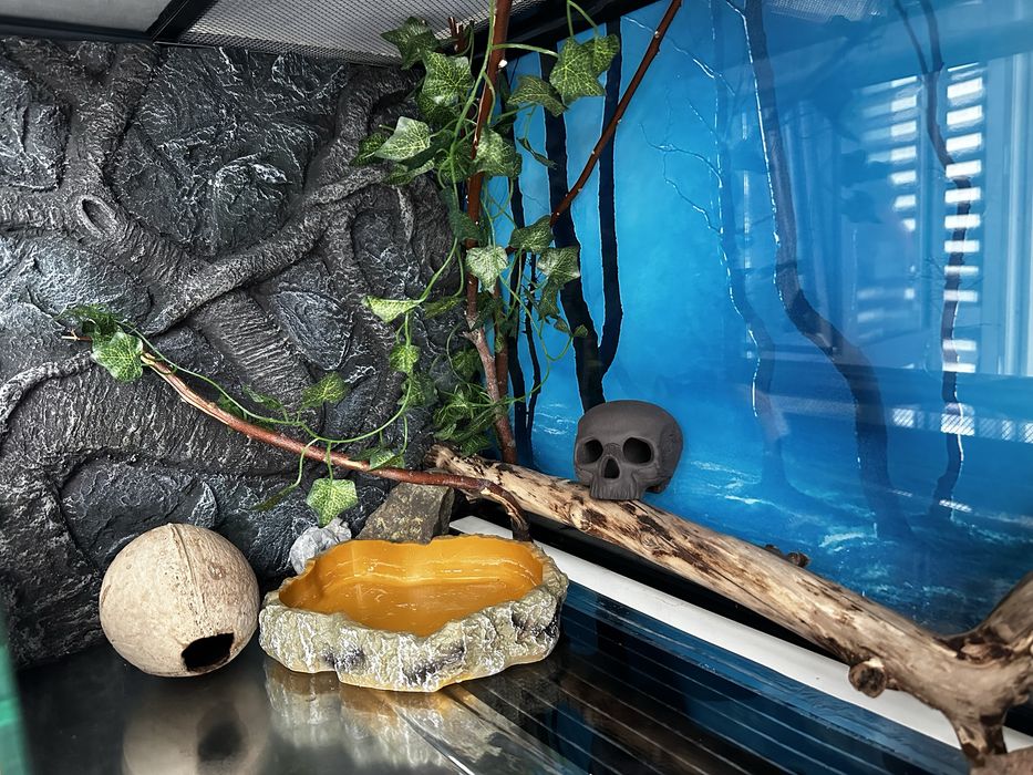 Террариум для рептилий