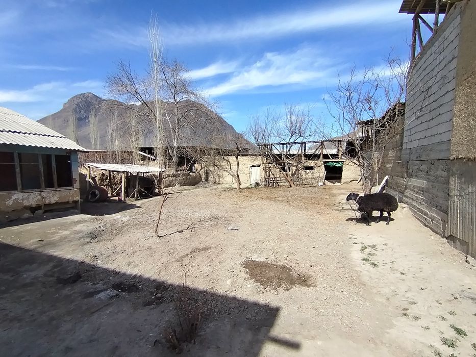 Шохимардонда ховли уй сотилади