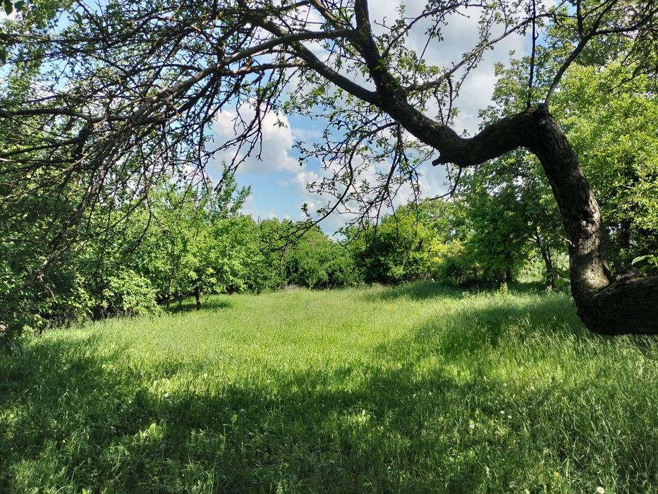 Teren Ipotești  Suceava