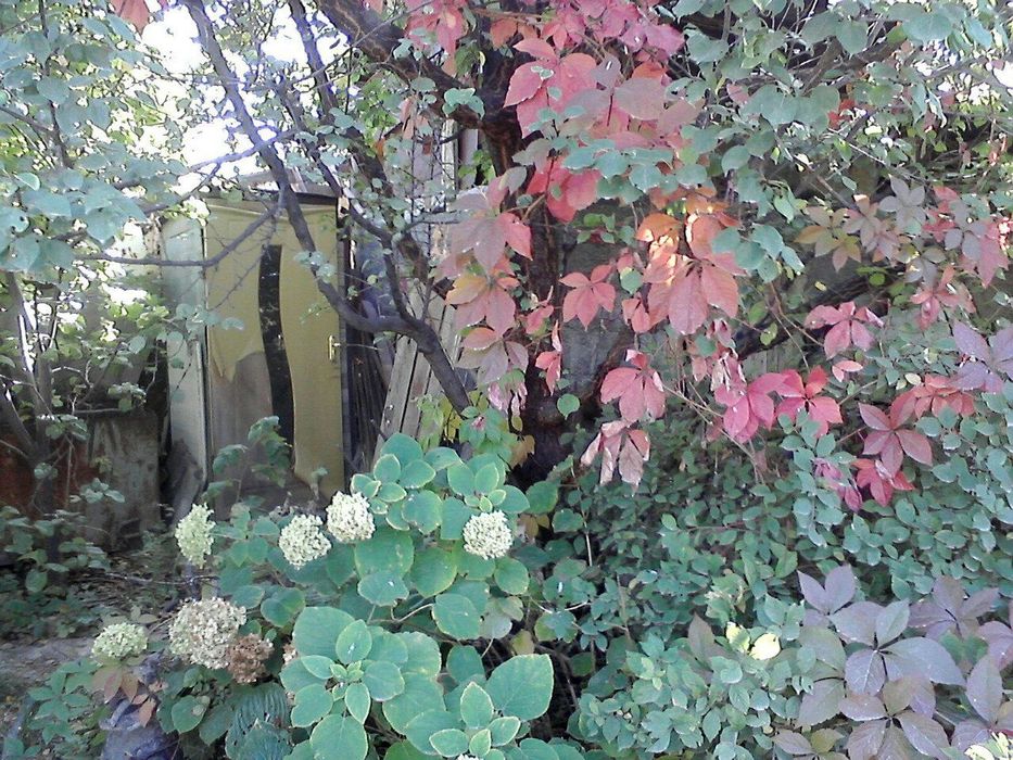 Продам дачу 6,4 соток. По 7ке